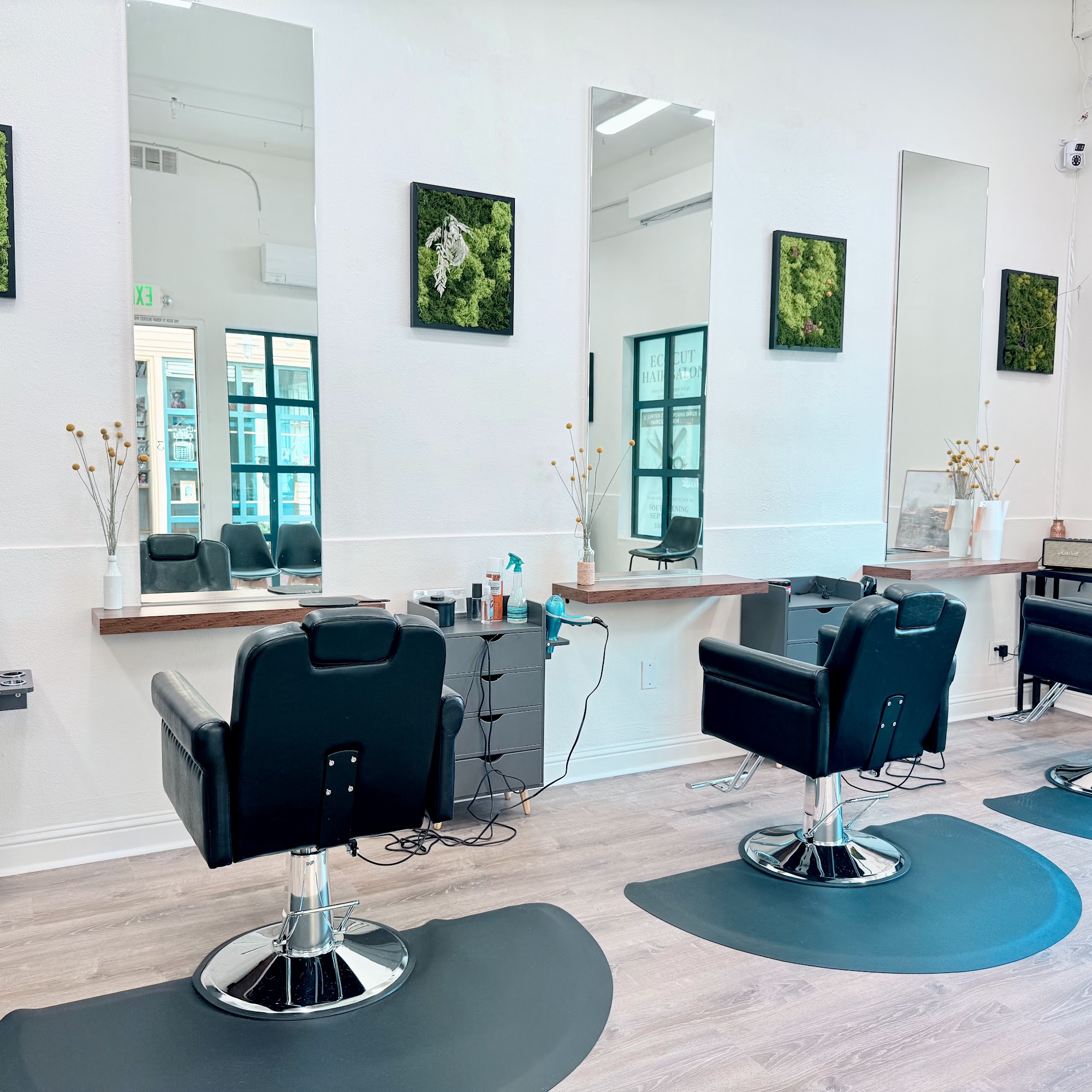 Ecocut hair salon 2980 College Ave suite 2A, Berkeley California 94705