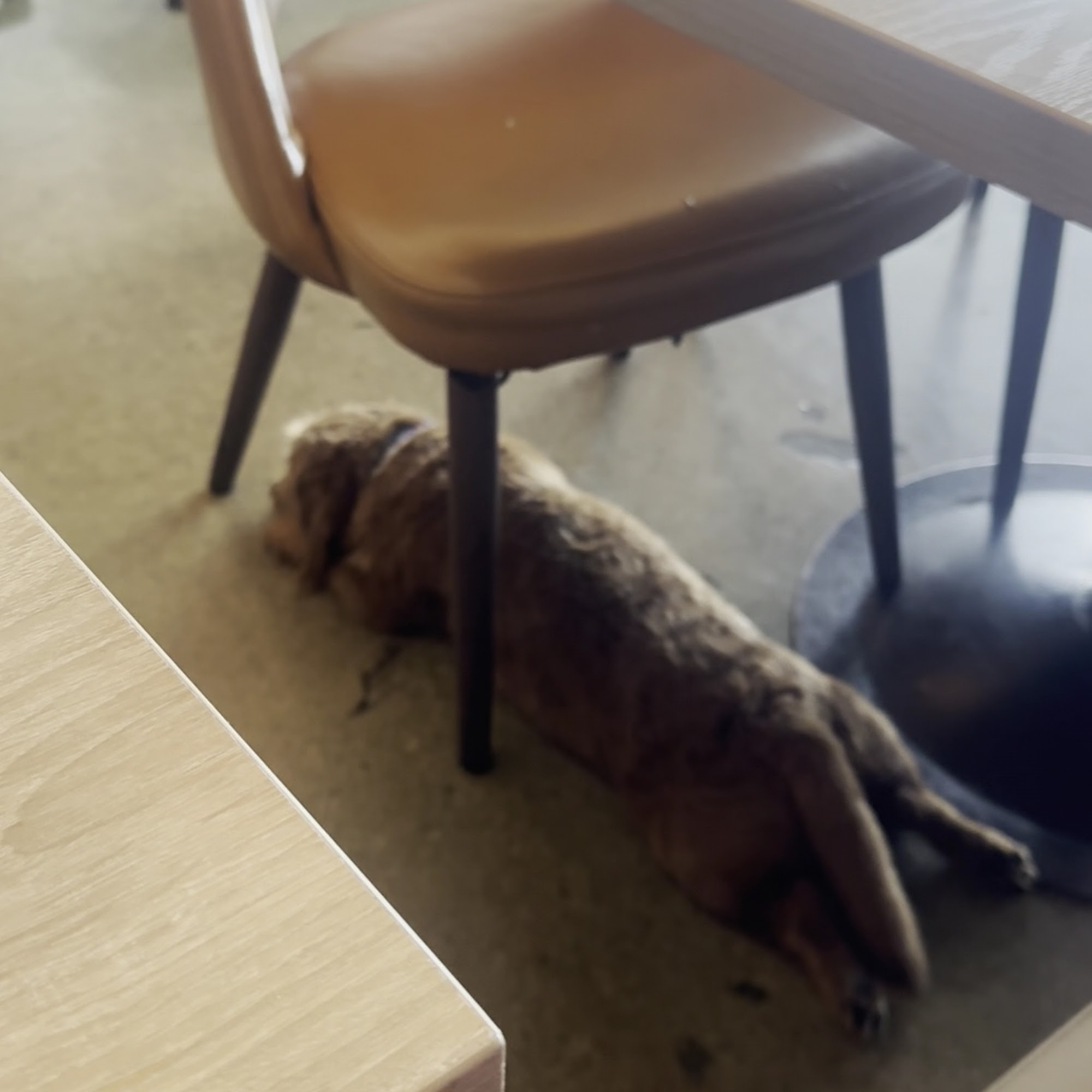 Prospect Gourmand Beverly Hills