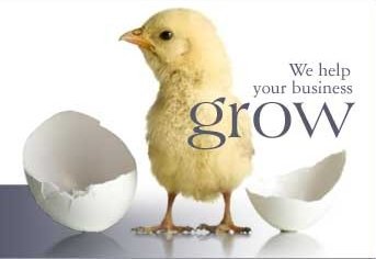 Taieb & Associates