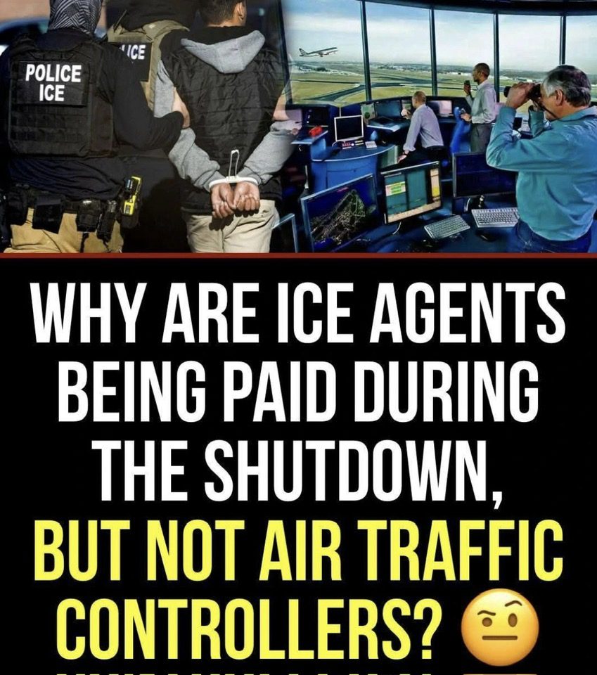 Probelle Interiors Development Group