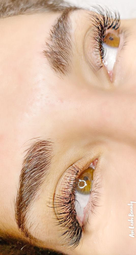 Avi Lash Beauty