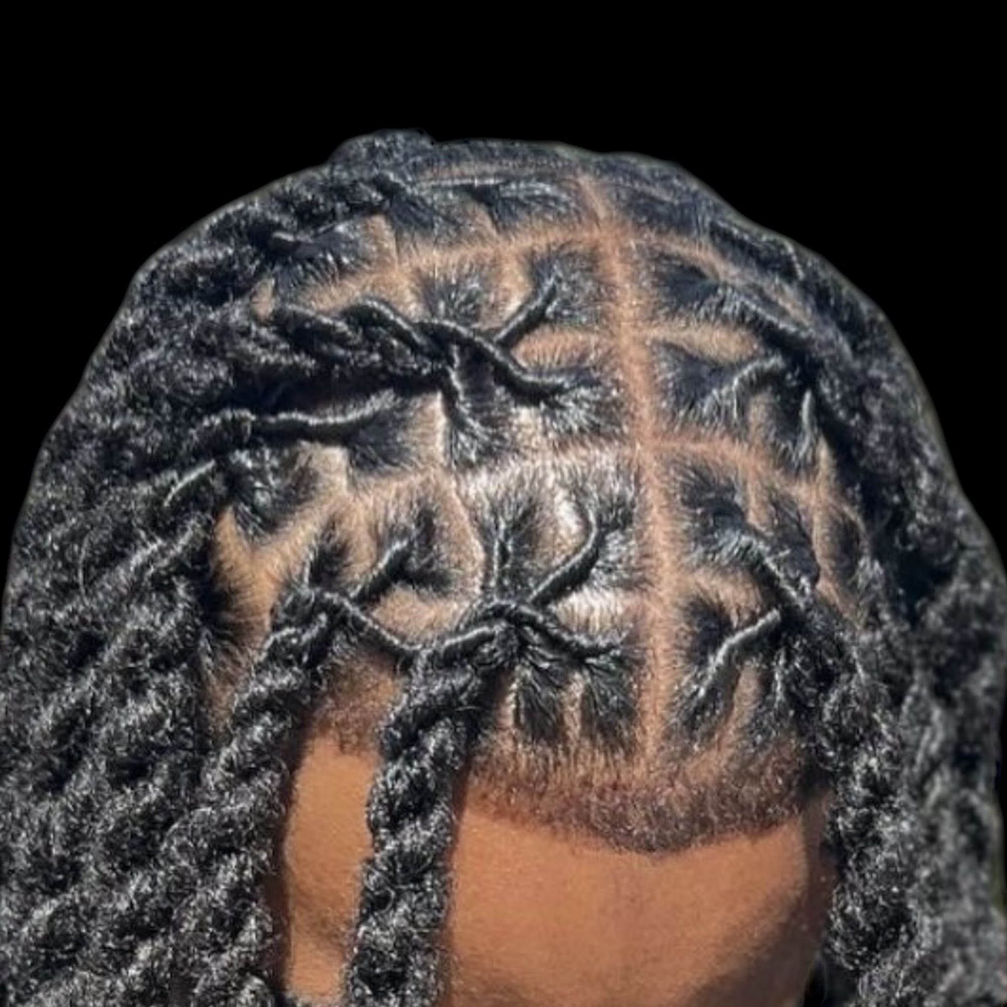 Locs and Twist /Erlande Essence Salon 8383 Wilshire Blvd 50 Studio 66, Beverly Hills California 90211