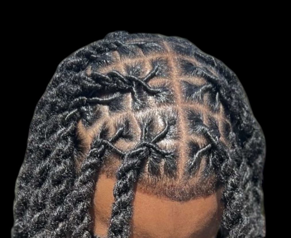 Locs and Twist /Erlande Essence Salon