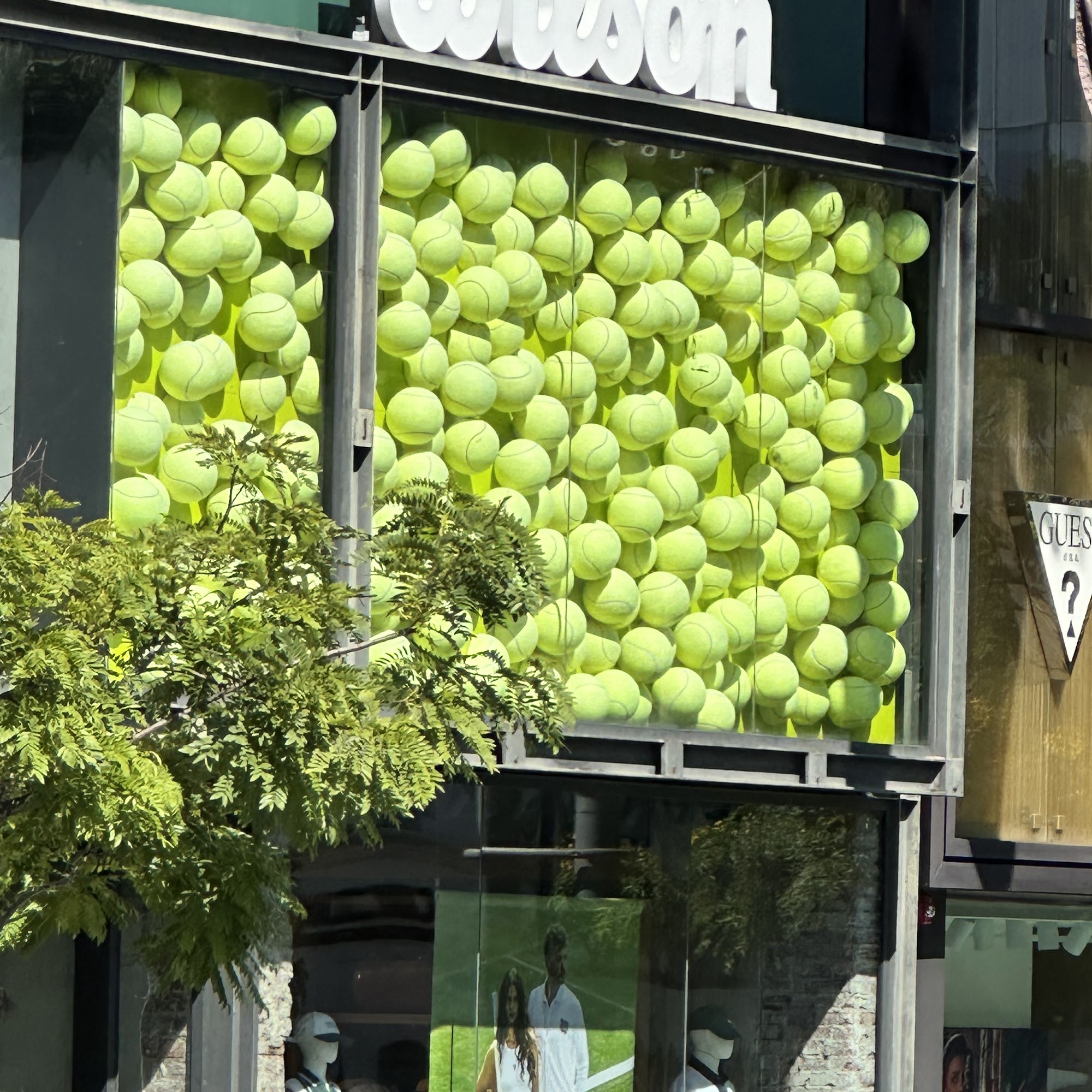 Wilson - Beverly Hills Beverly Hills