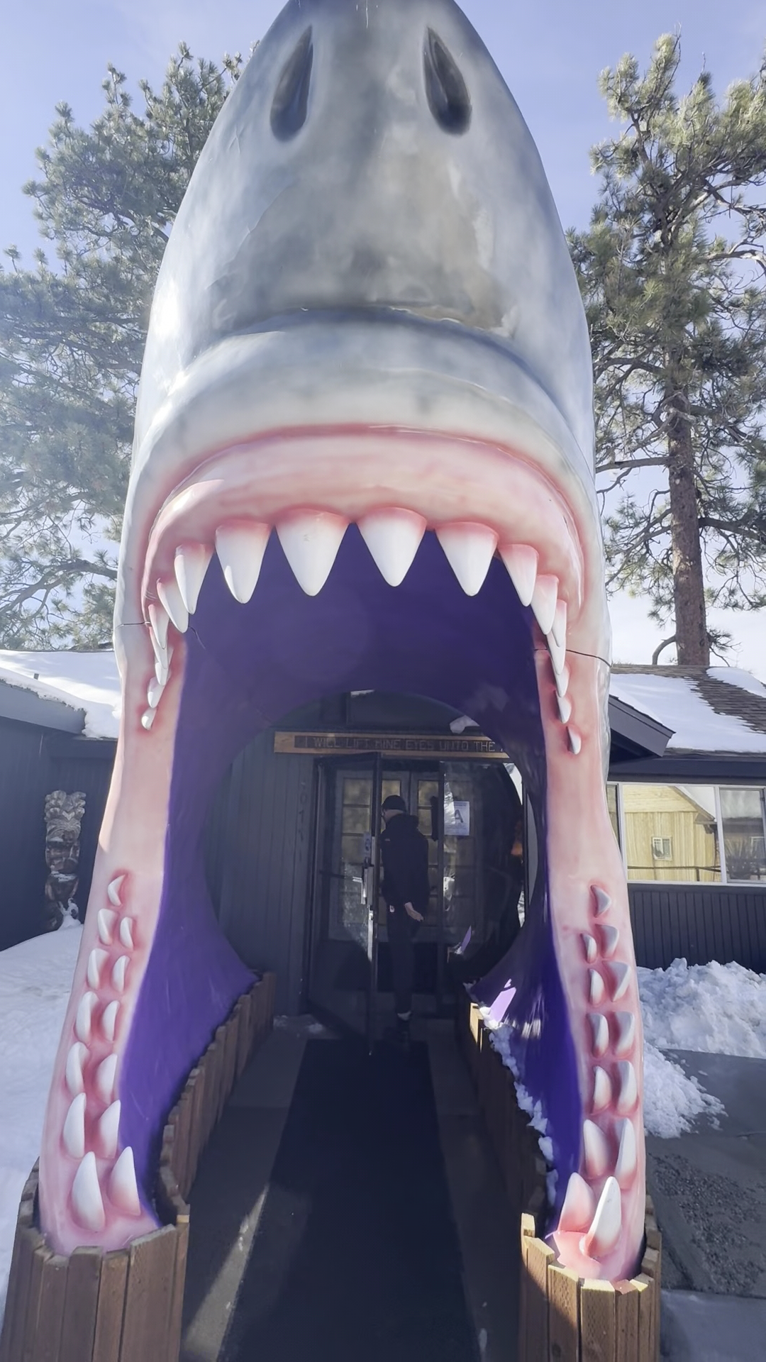 Tropicali Big Bear Lake