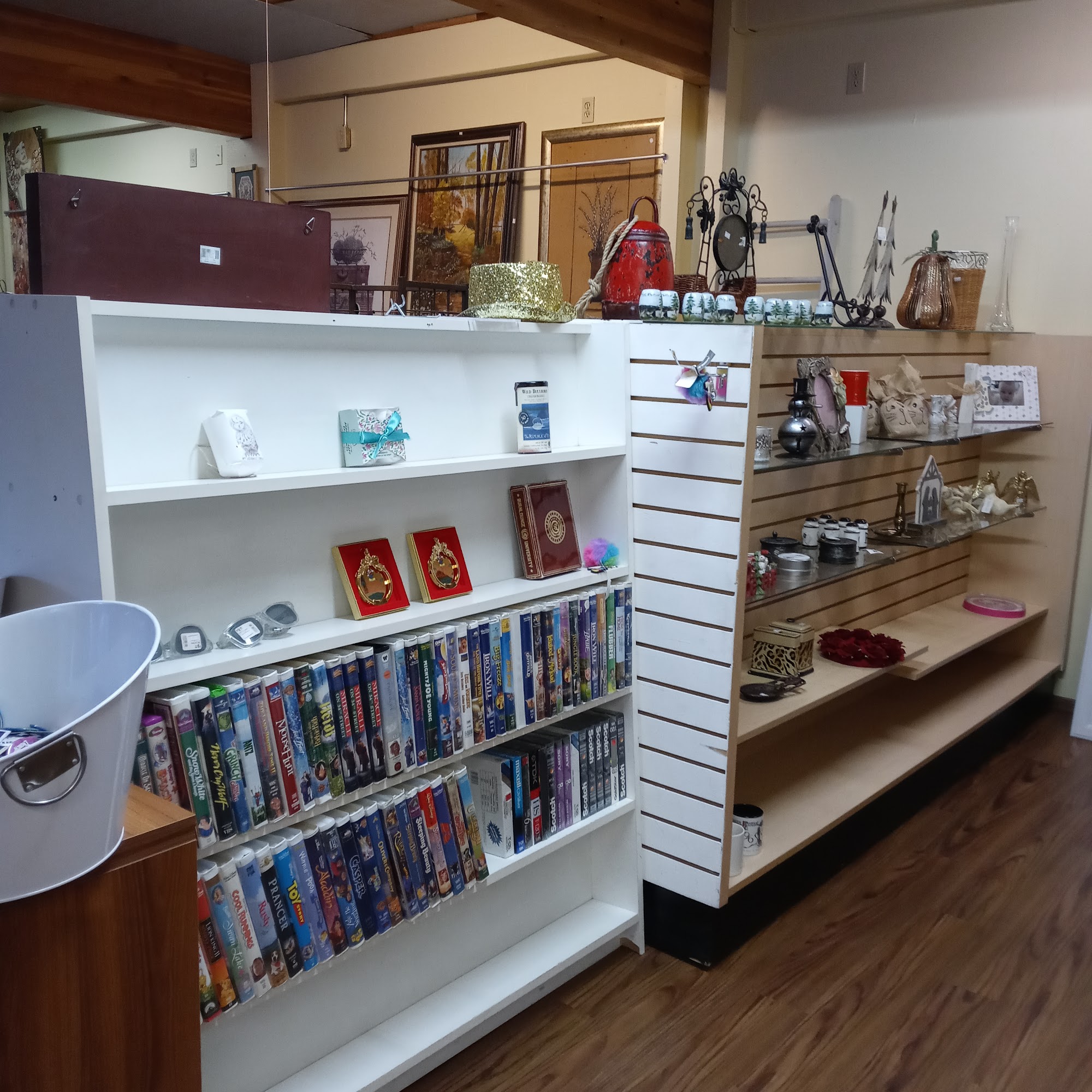 Big Bear Valley Humming Bird Big Bear