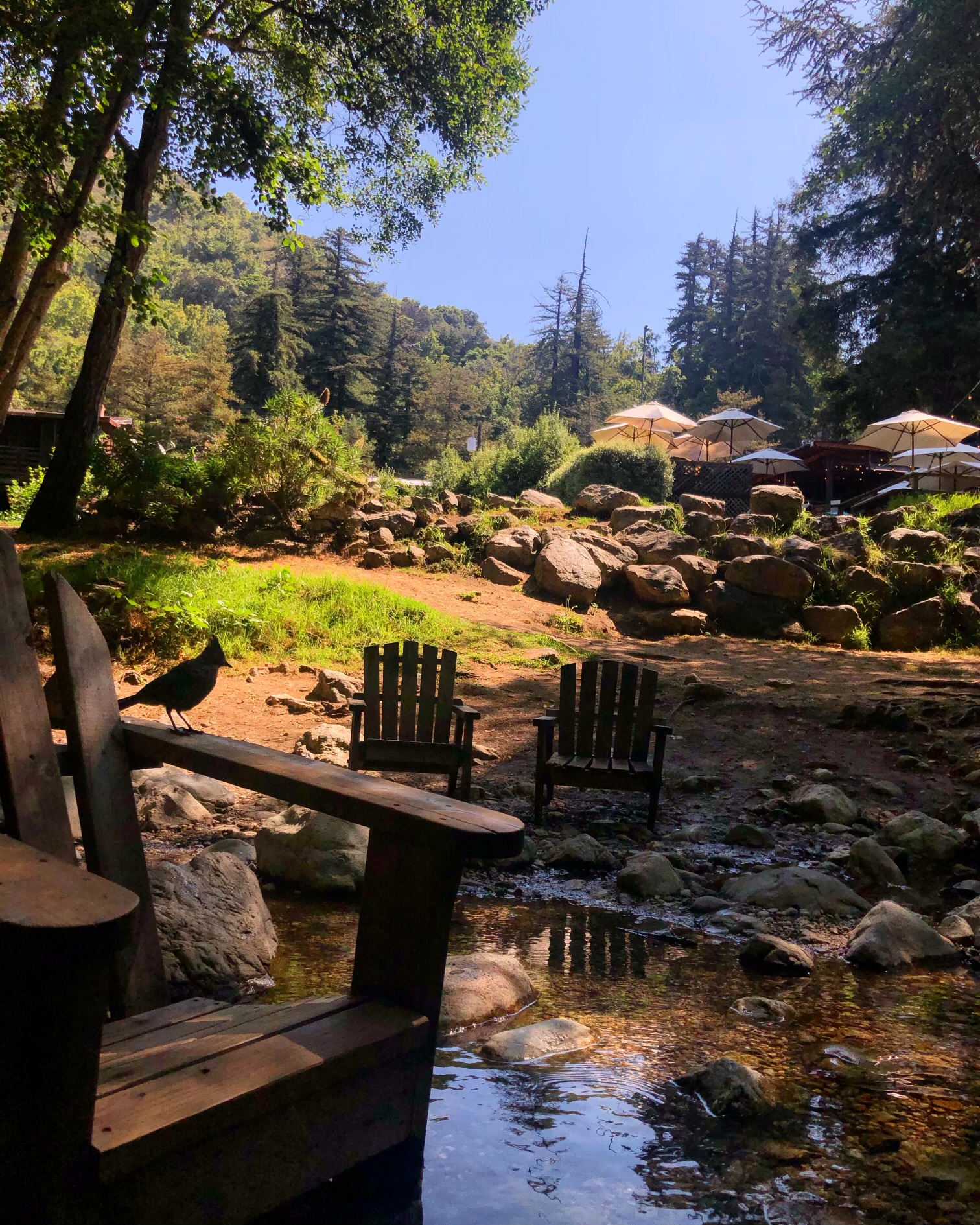 Big Sur River Inn Big Sur