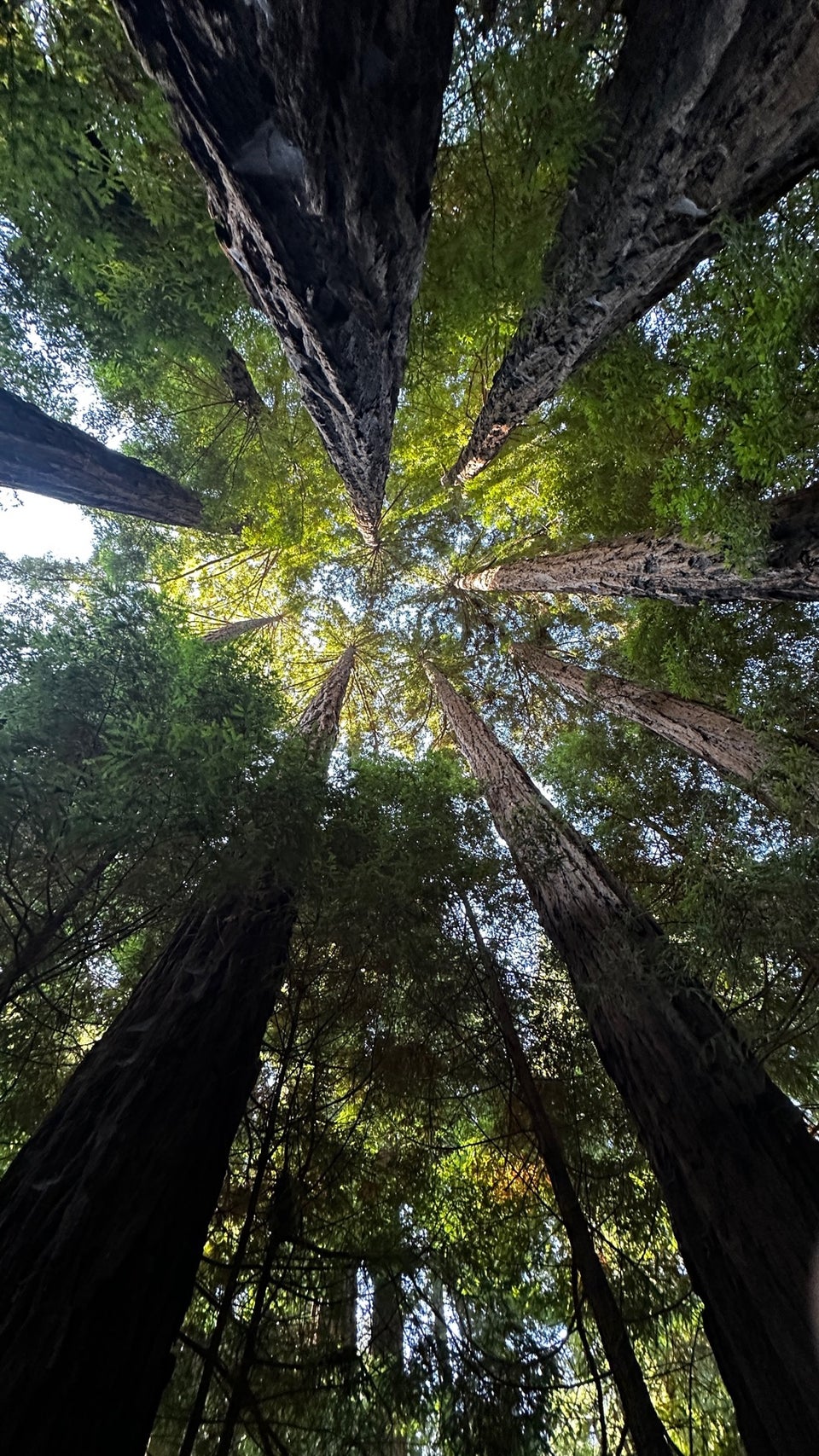 Big Sur Roadhouse Big Sur