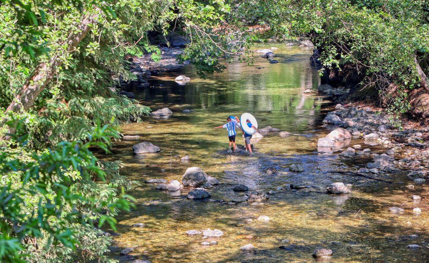 Fernwood Tavern Big Sur