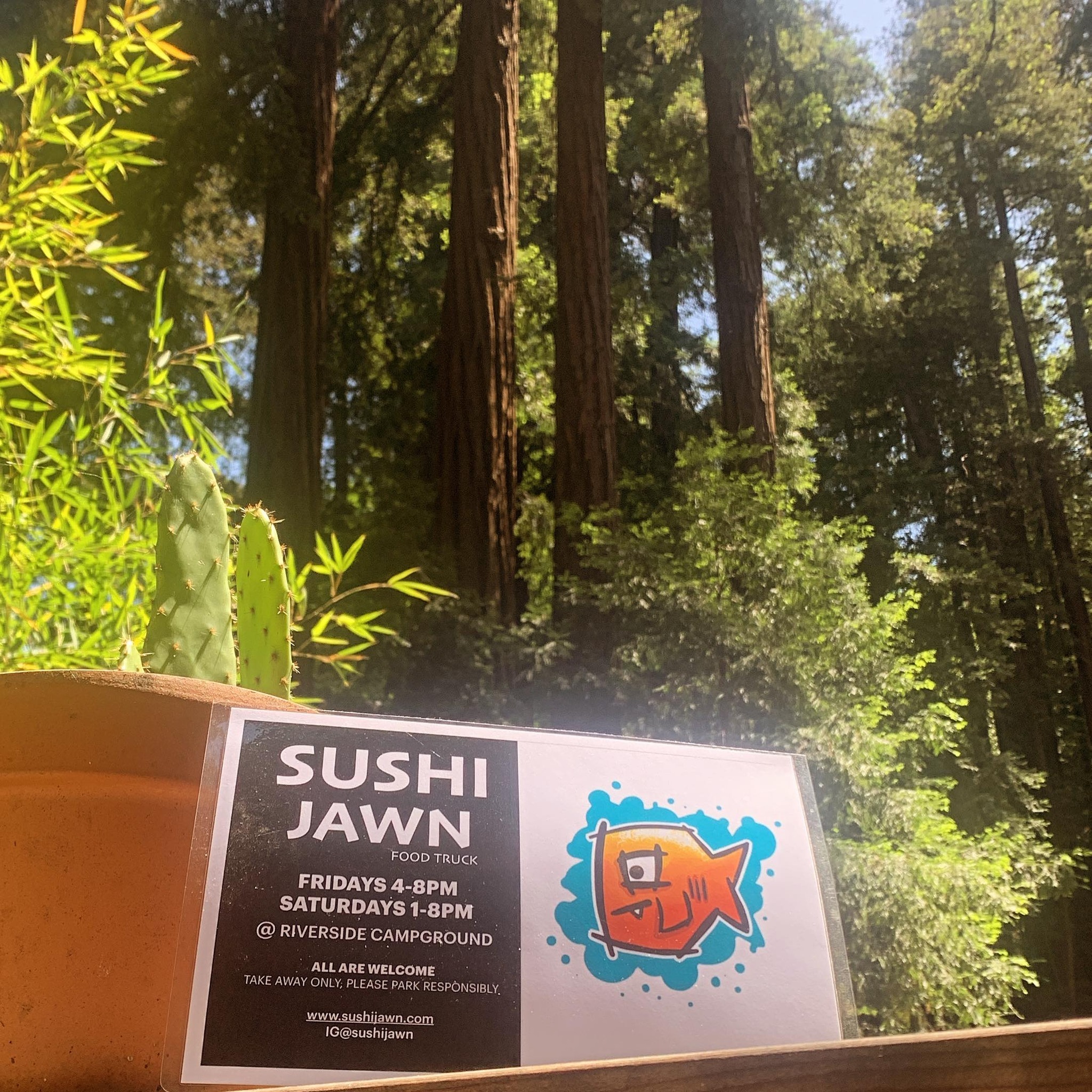 Sushi Jawn Big Sur