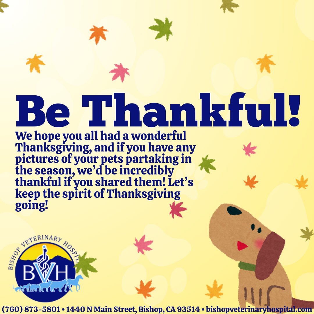 Bishop Veterinary Hospital Bishop