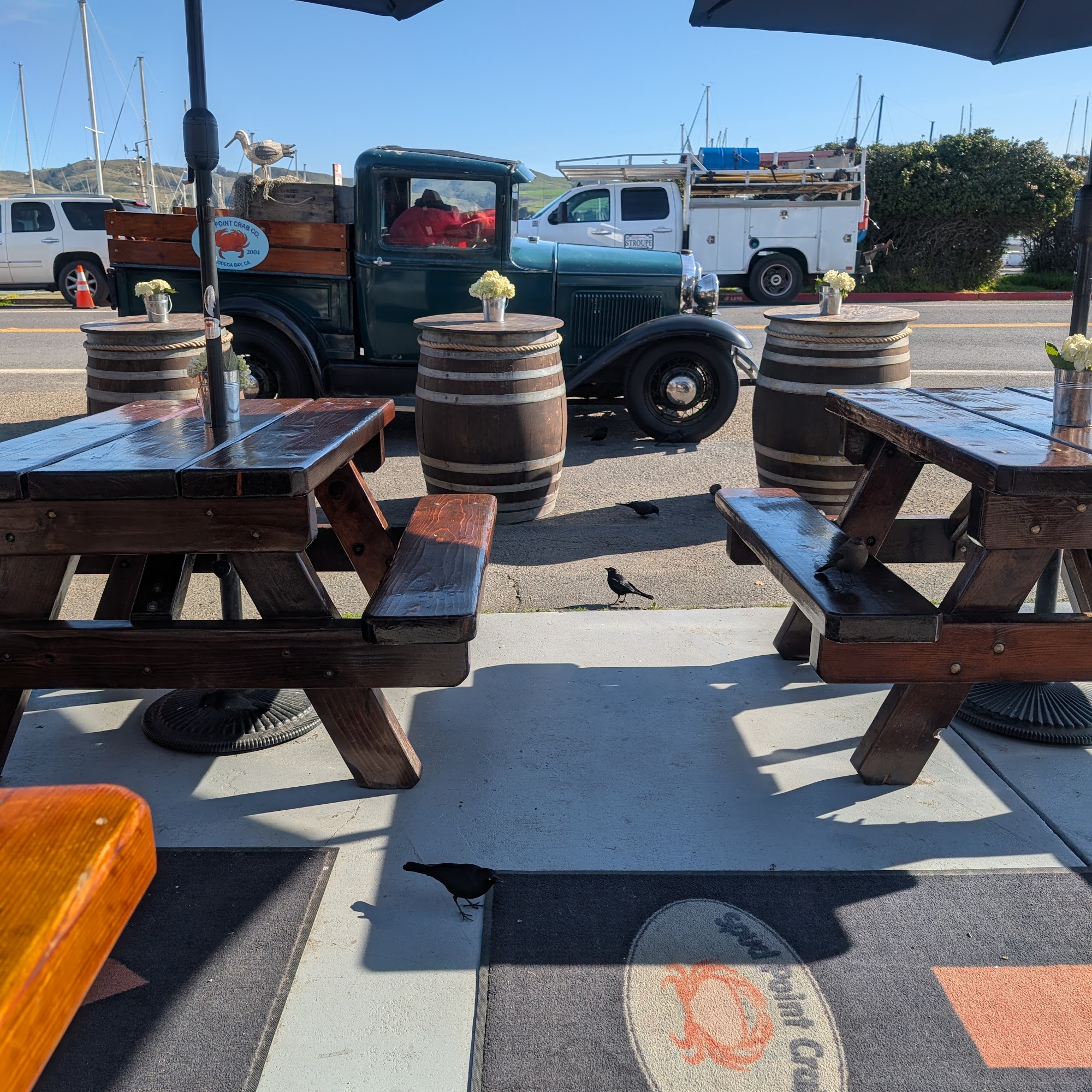 Spud Point Crab Company Bodega Bay