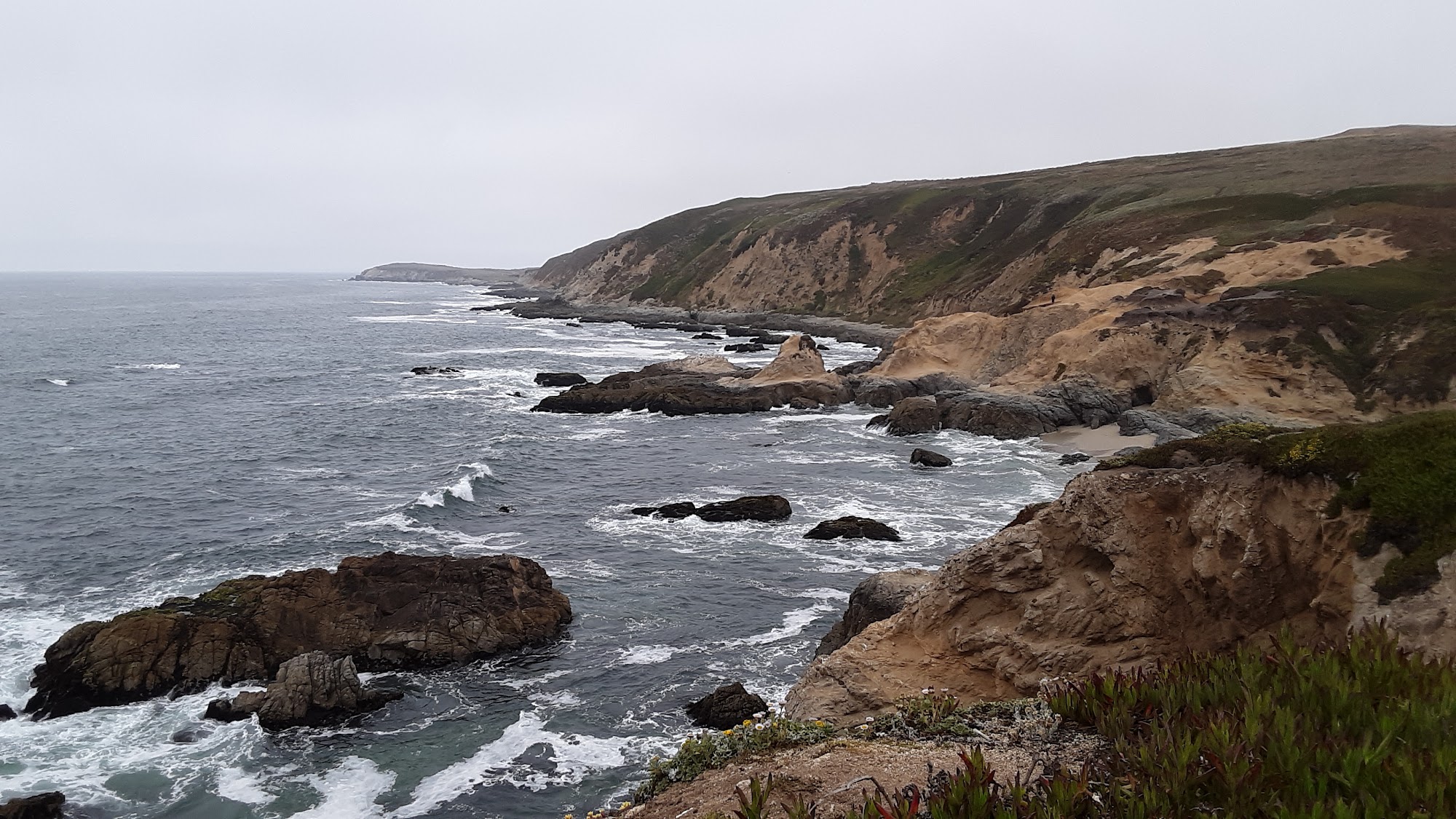 Bodega Harbour H O A Bodega Bay