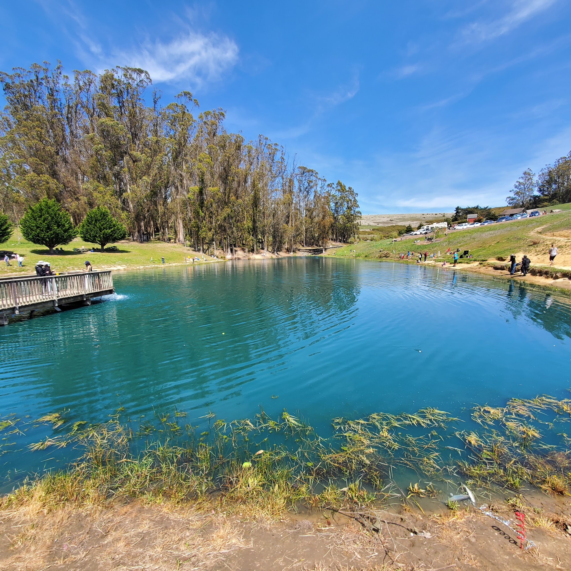 Hagemann Ranch Trout Fishing Bodega Bay