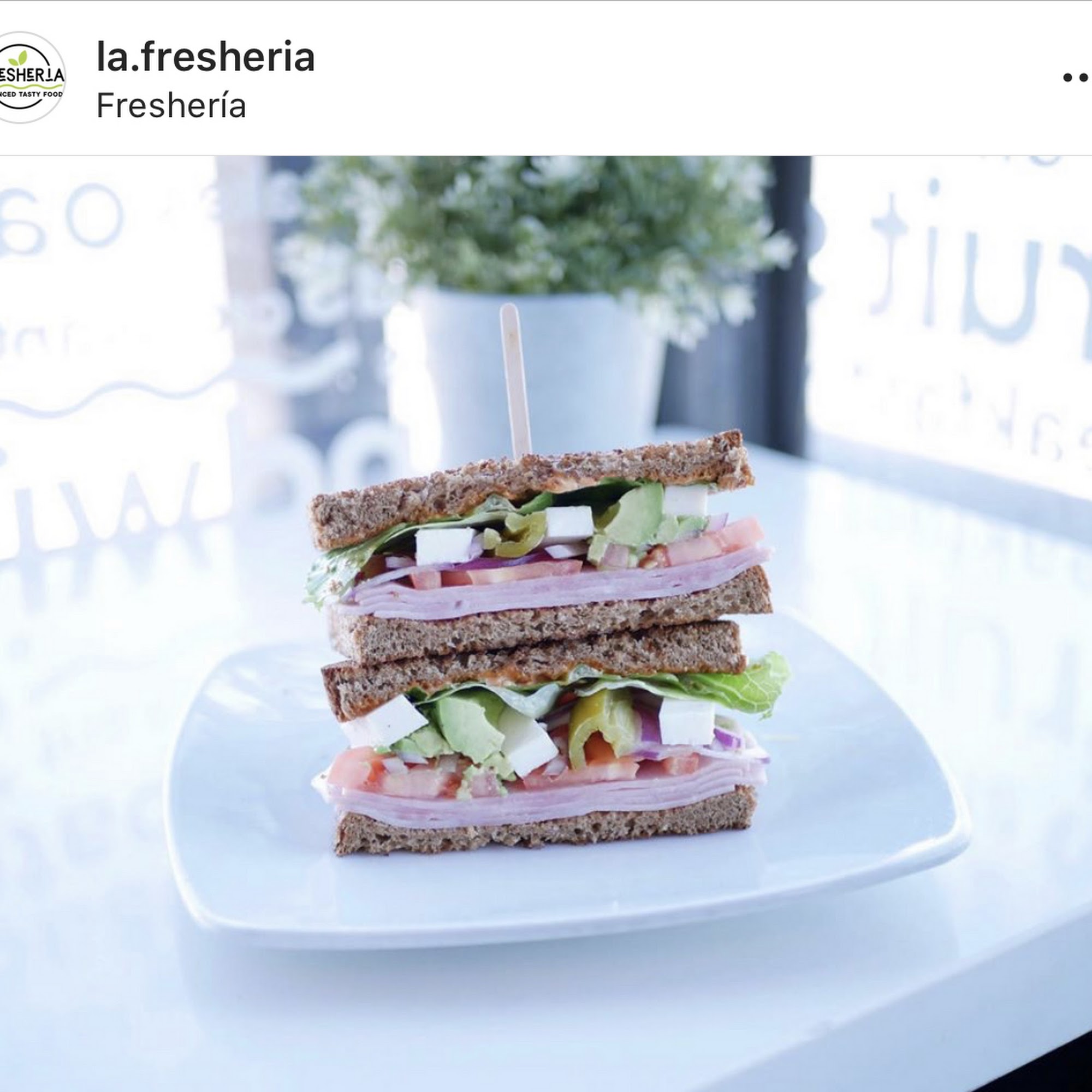 Freshería - Bonita Bonita