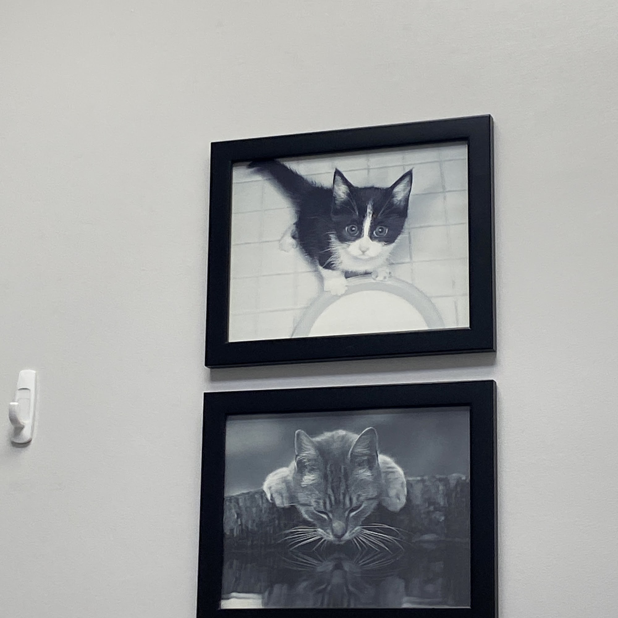 Beverly Oaks Animal Hospital Boulevard