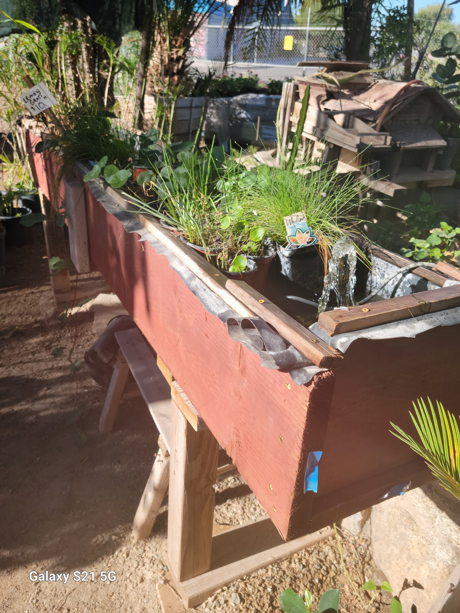 Green Patch Nursery Brawley