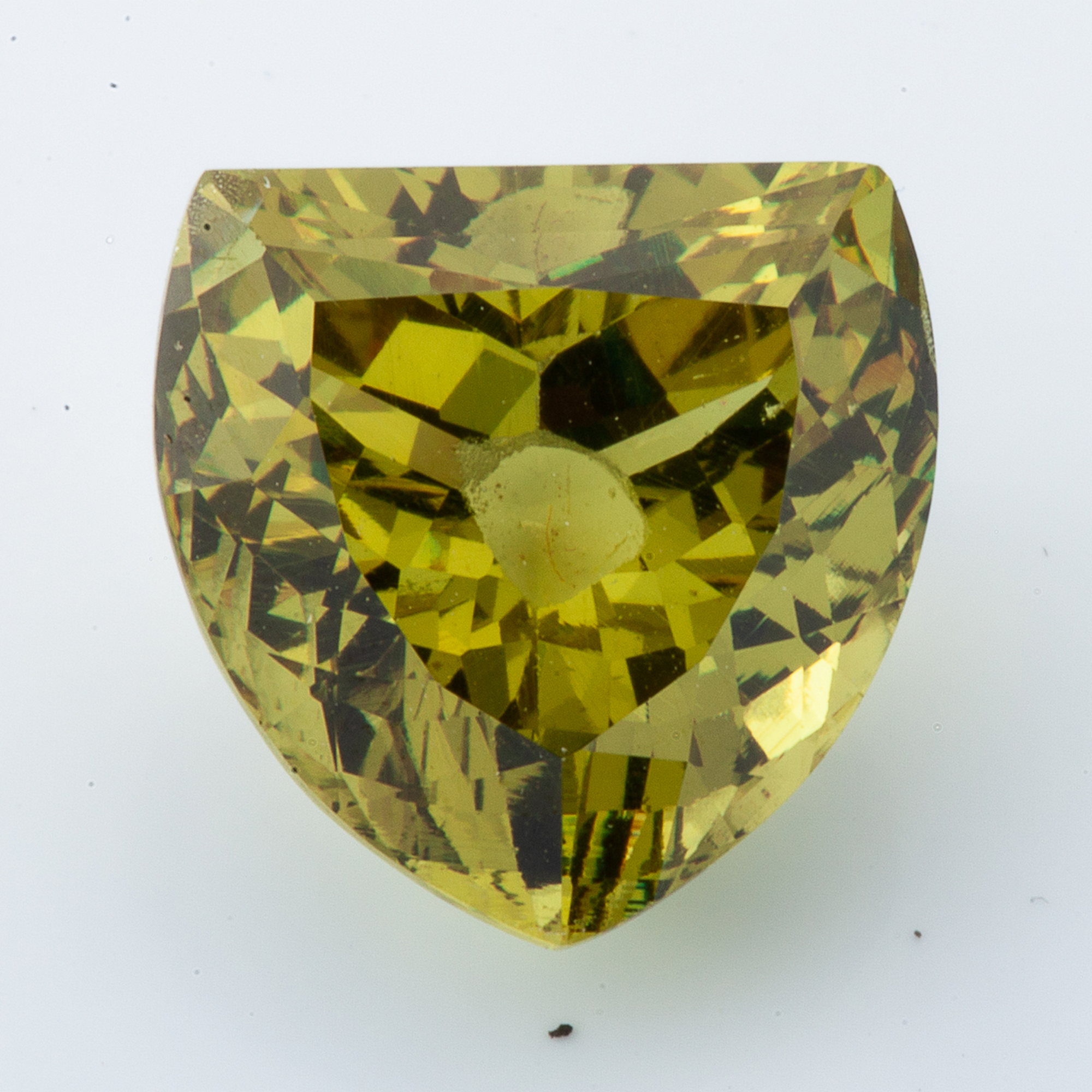 Western Sage Studios