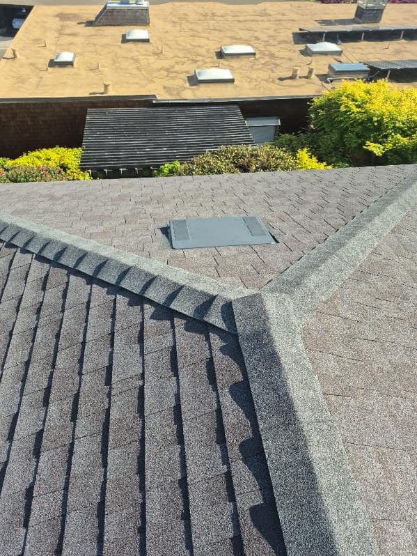 Bailey's Roofing