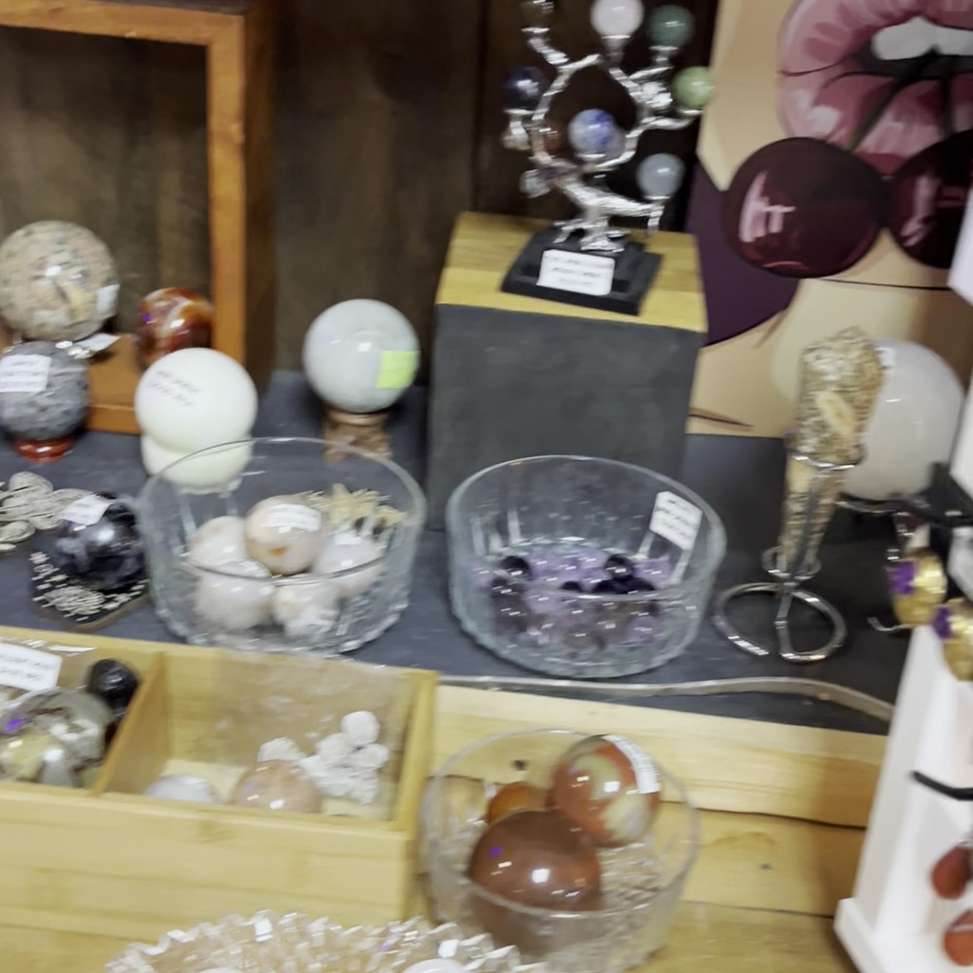 Curious-ity 629 1st St, Brentwood California 94513