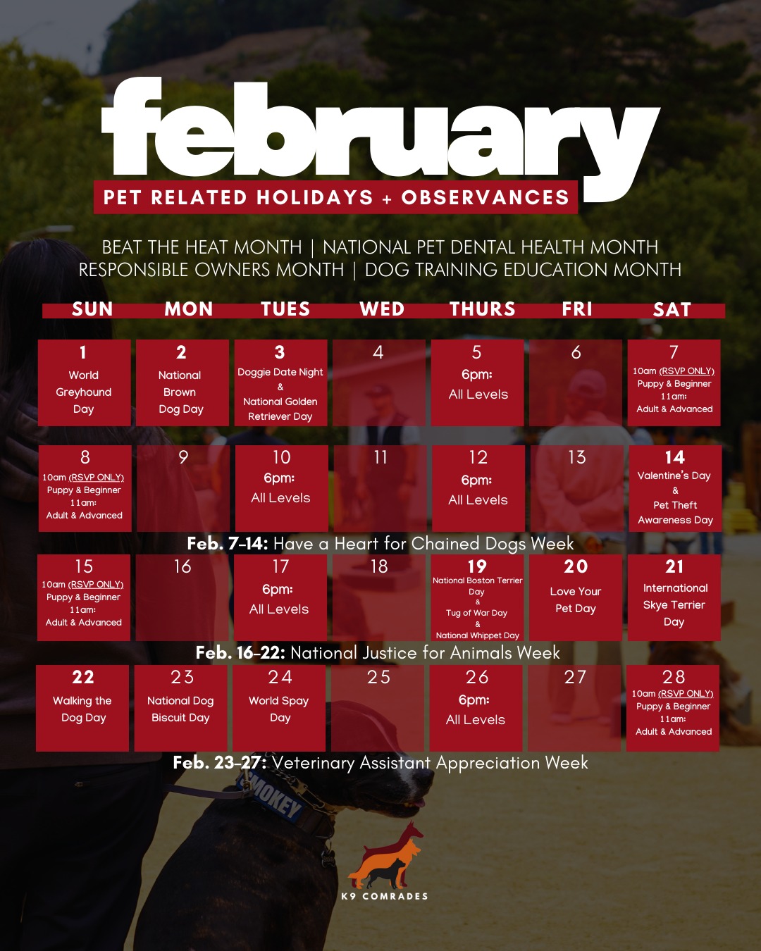 K9 Comrades LLC Brisbane