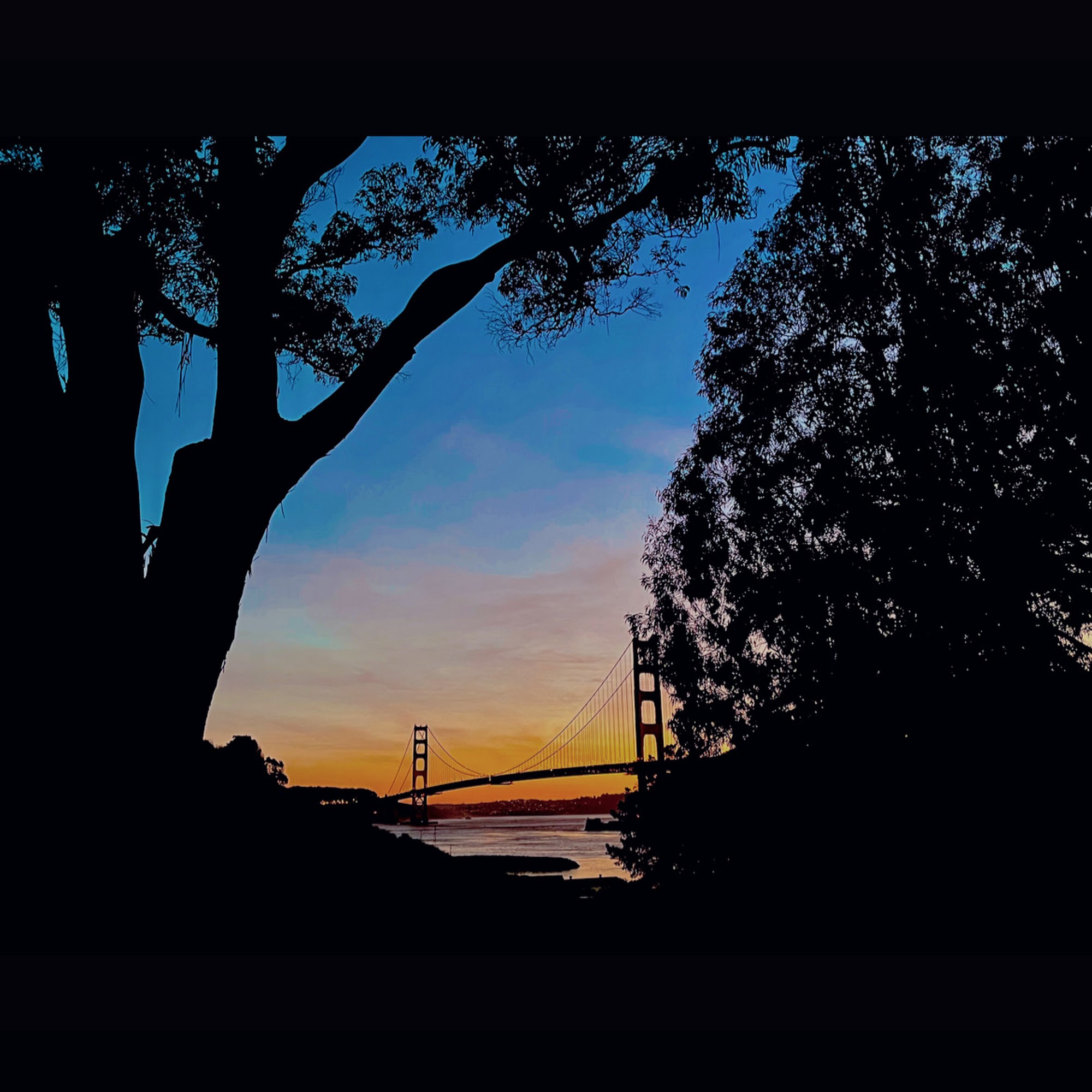 Tracuera Bodywork By Tracy Albuera