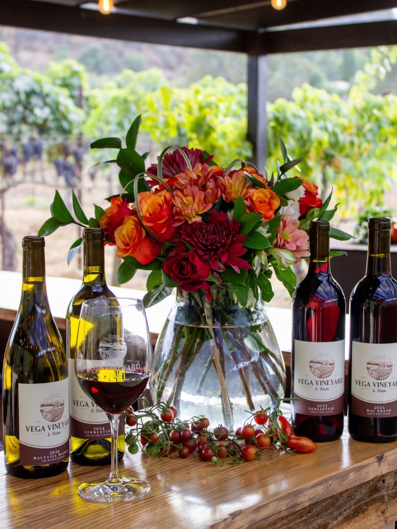 Vega Vineyard and Farm Buellton