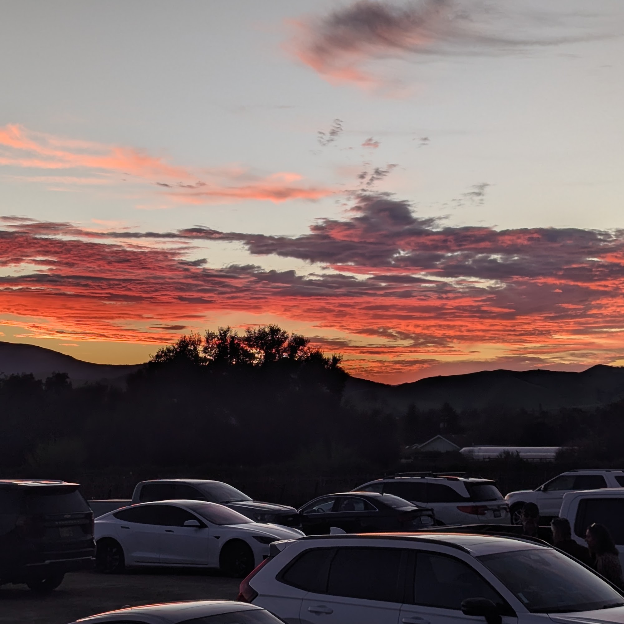 Brick Barn Wine Estate Buellton