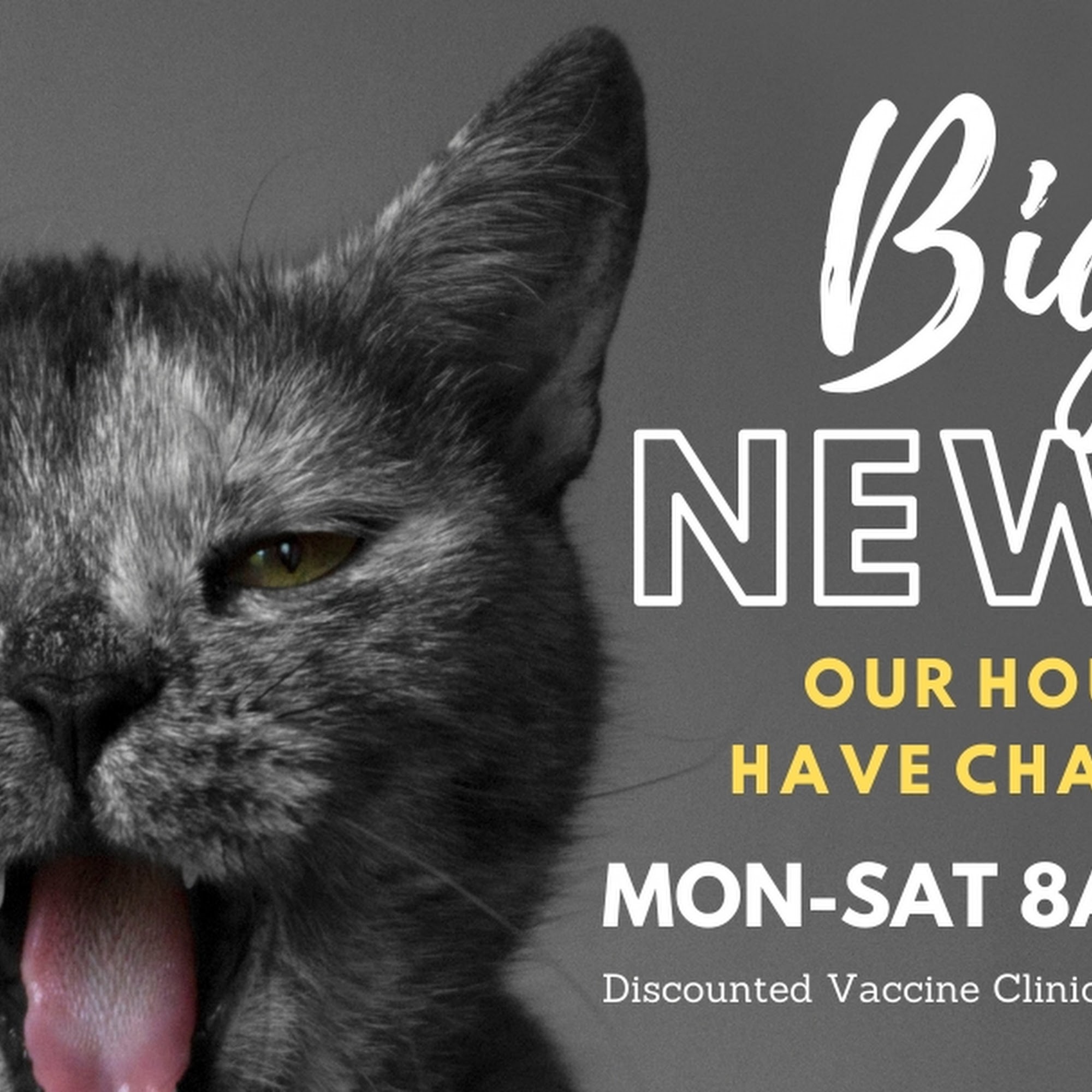 Bastet Cat Hospital, inc. Burbank