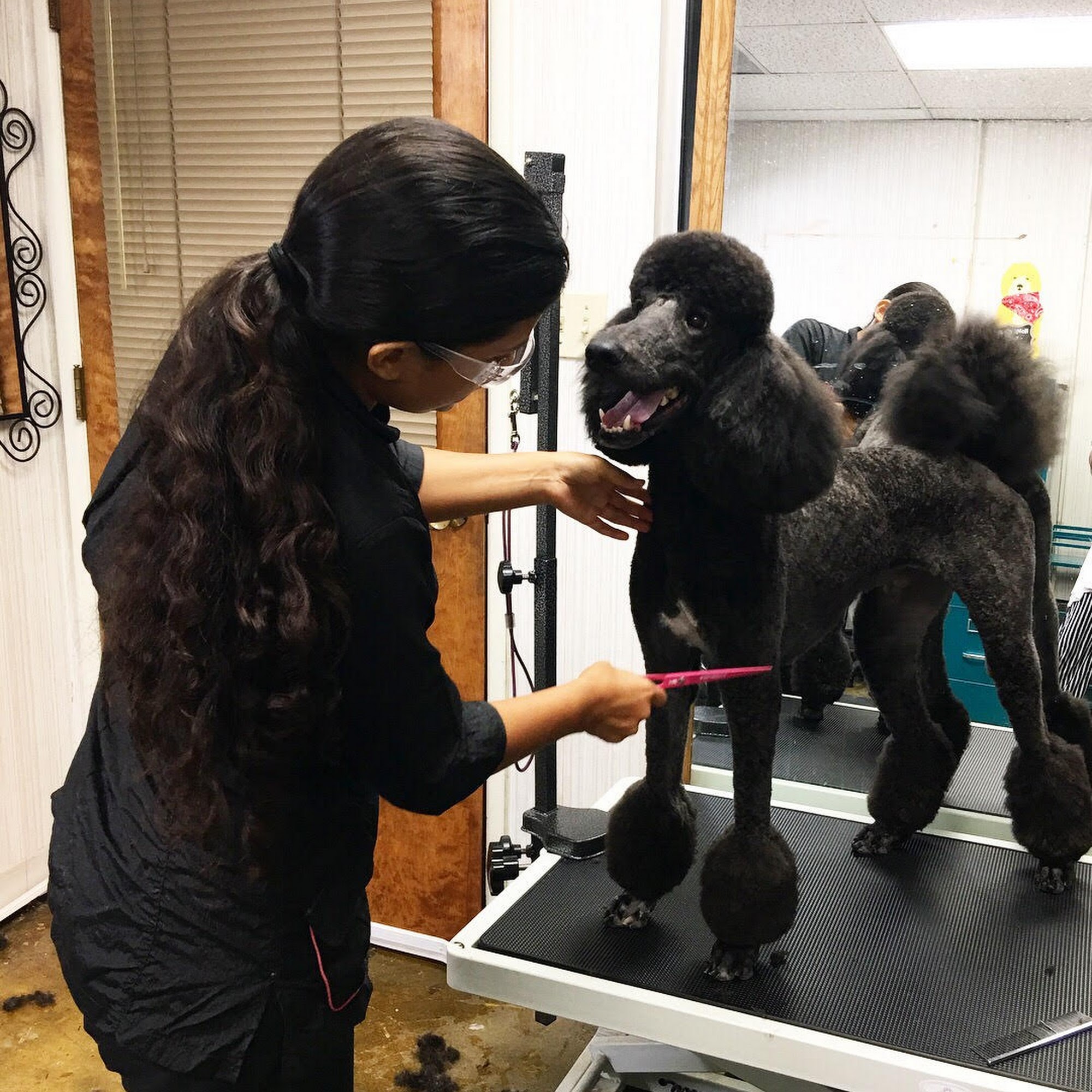 Doggie Avenue Burbank