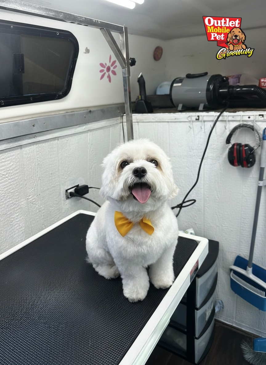 Outlet Mobile Pet Grooming Burlingame