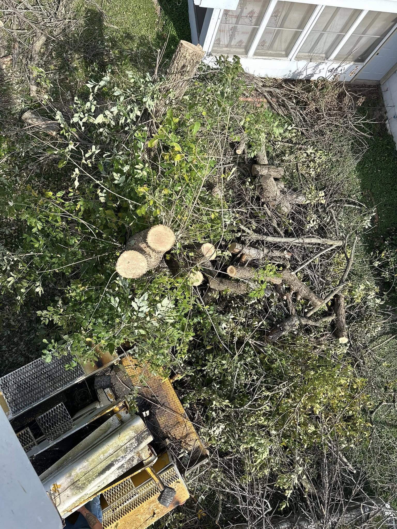 Allen Tree Services