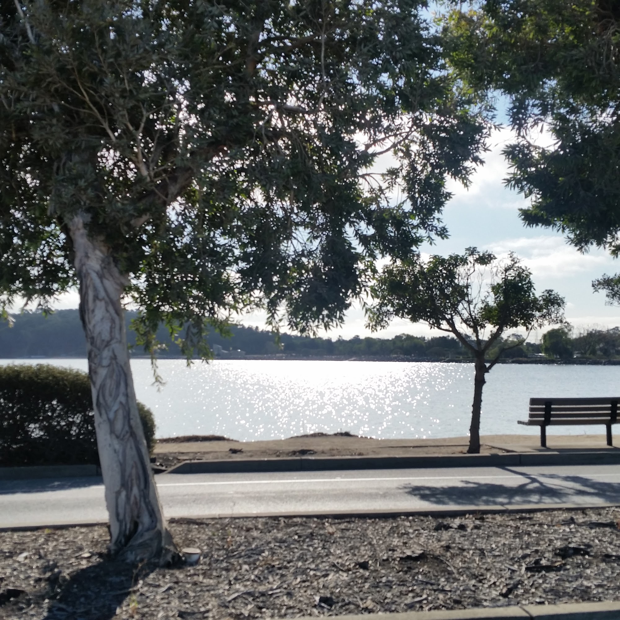 Tangent Inc Burlingame