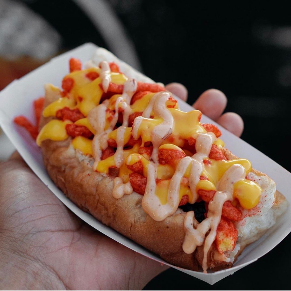 Los Pinki Dogs Calexico