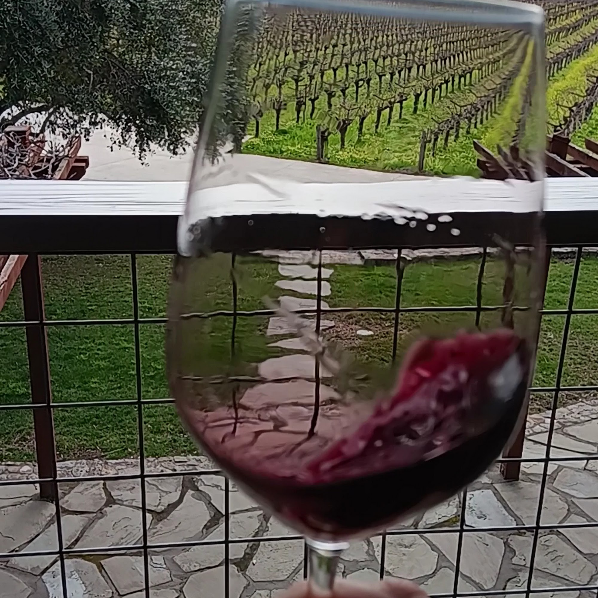 Venge Vineyards Calistoga