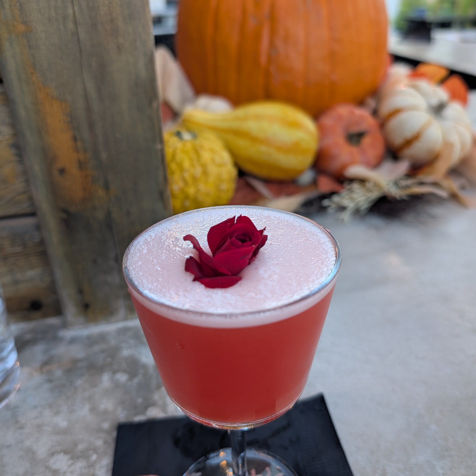 Robert's Tropical Table Bar and Lounge Calistoga