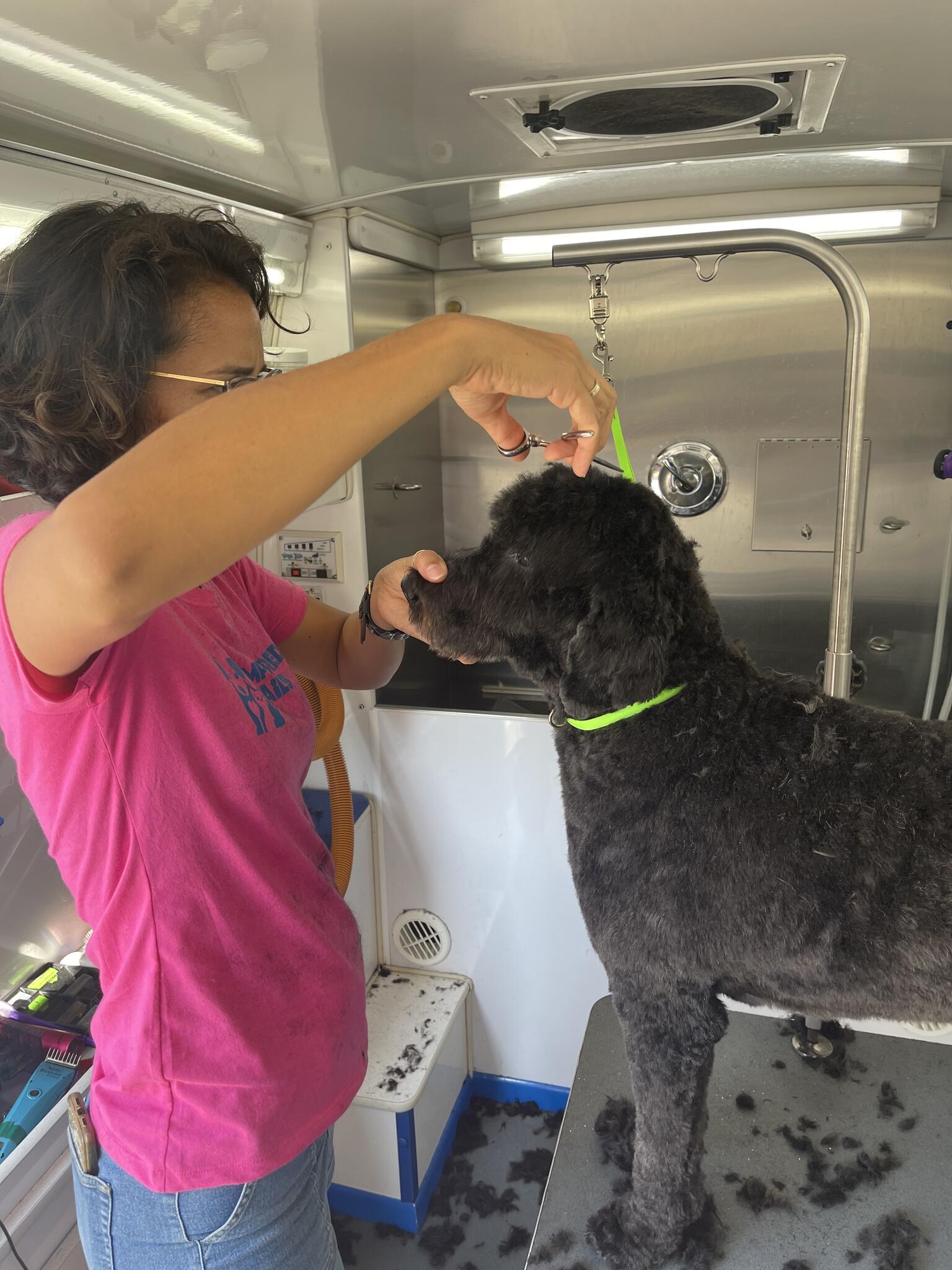 Photo credit: nextdoor