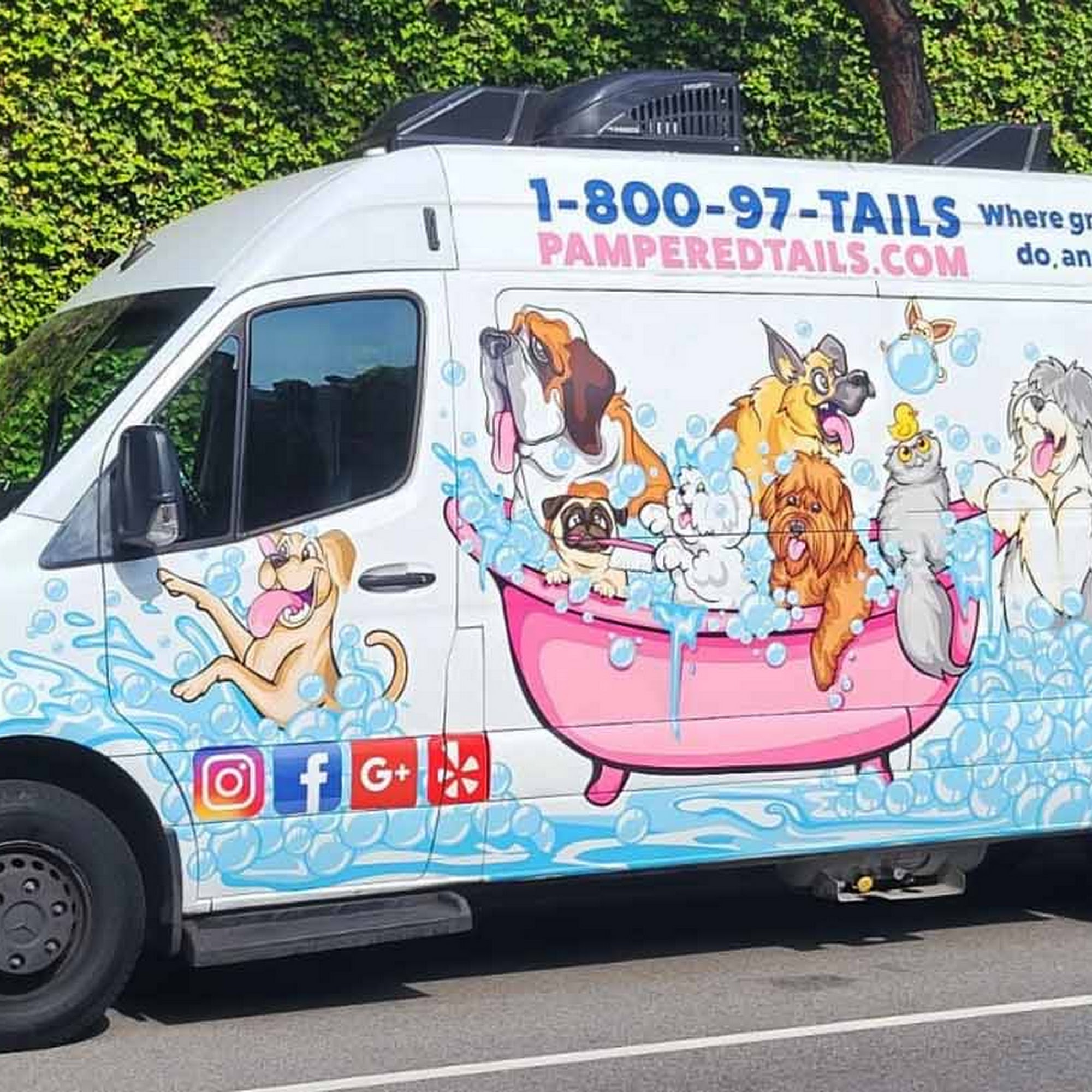 Pampered Tails Camarillo