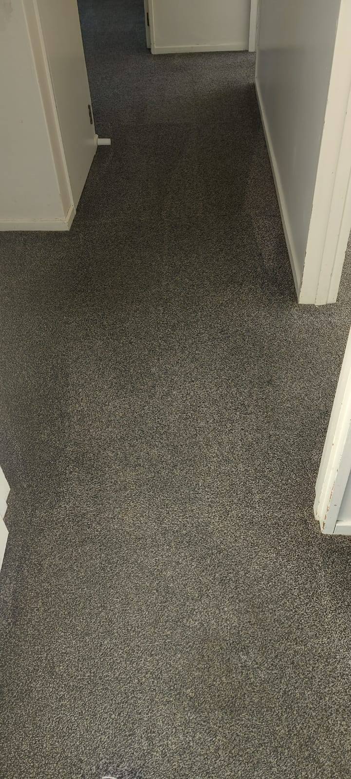 Xtreme Carpet Cleaning Camarillo