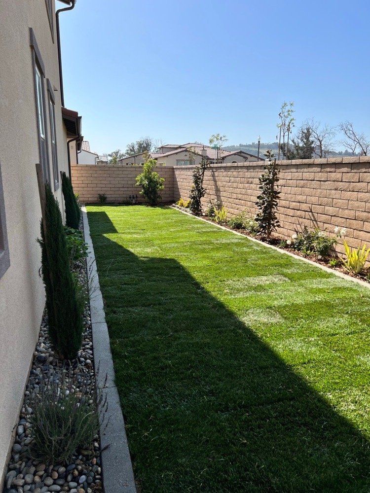 Mike Muscarella Landscaping