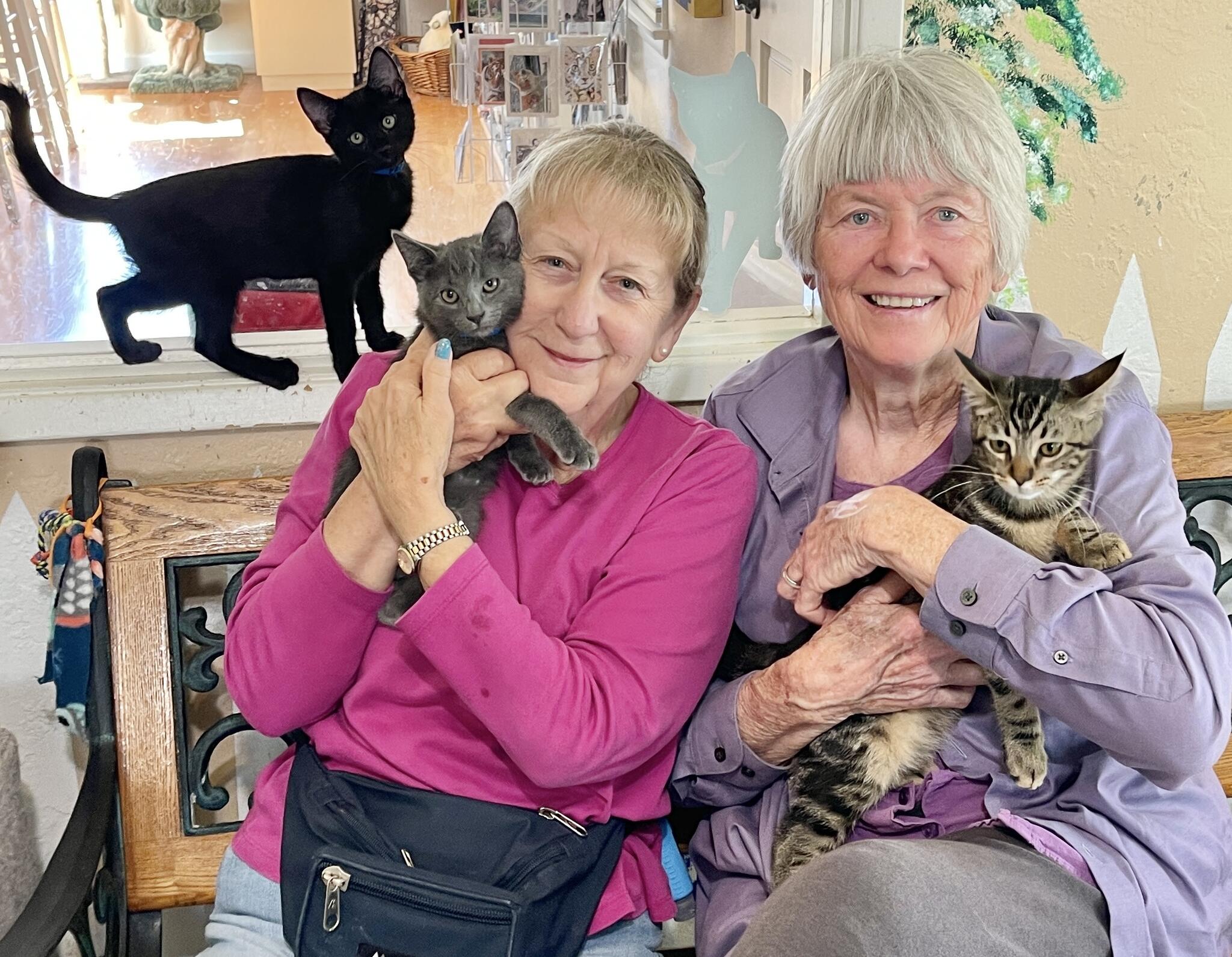 HART Cambria Cambria