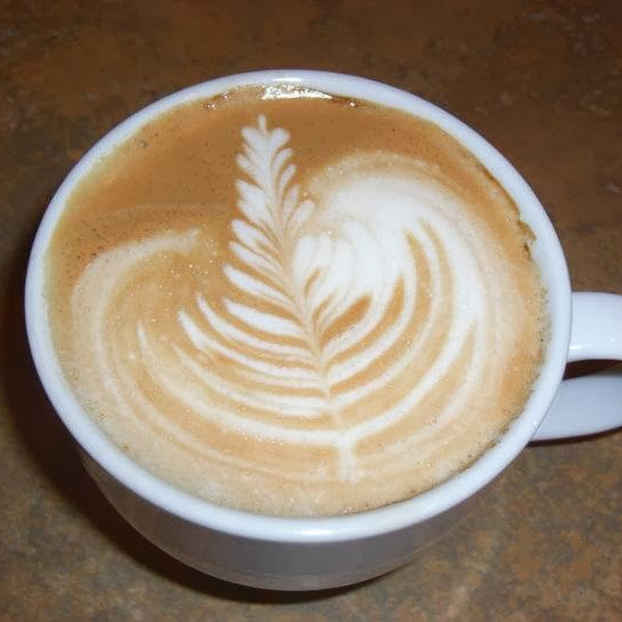 Cambria Coffee Company Cambria