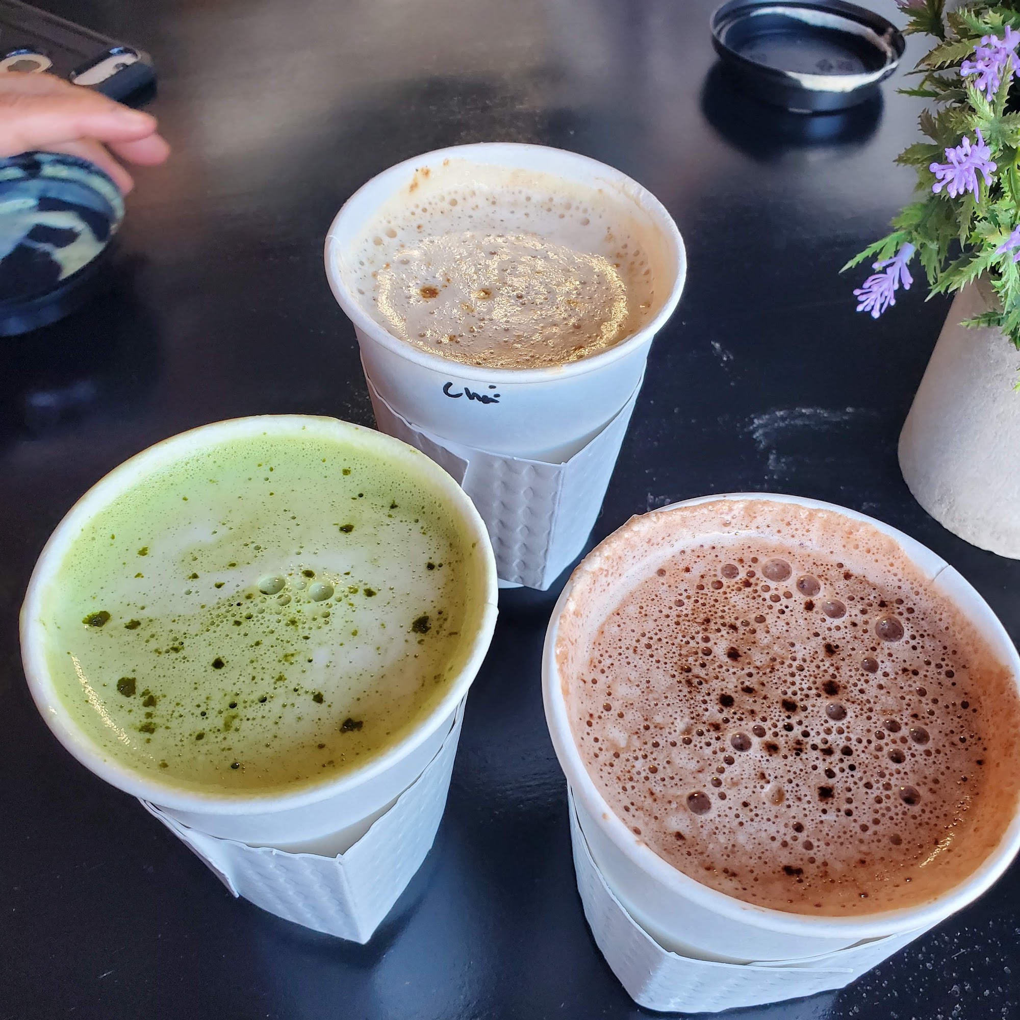 Mojo's Village Bean Cambria