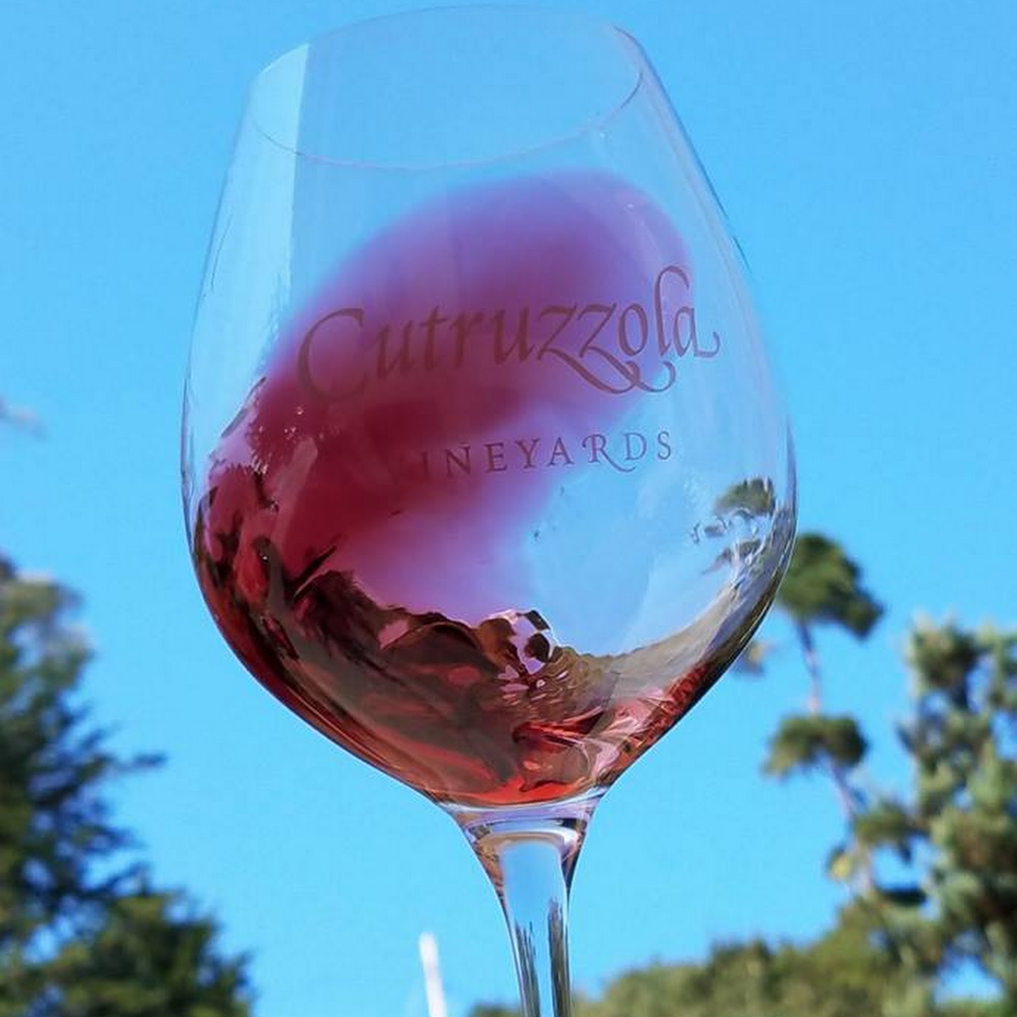Cutruzzola Vineyards Cambria