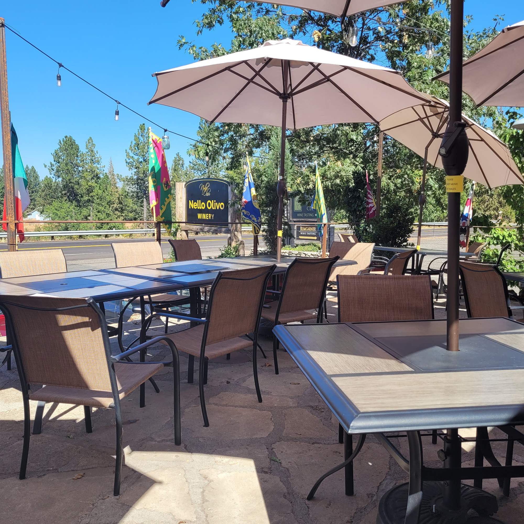 Nello Olivo Winery, Camino Tasting Room Camino