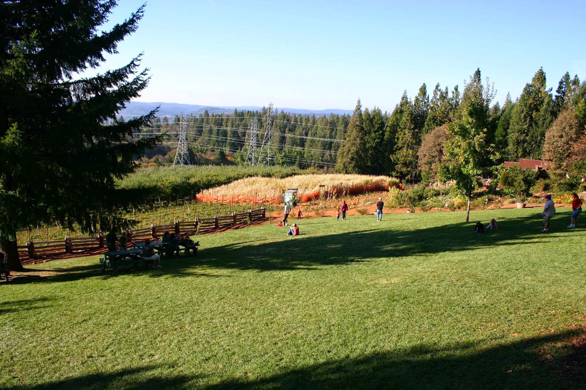 Joan's Apple Bakery at Delfino Farms Menu