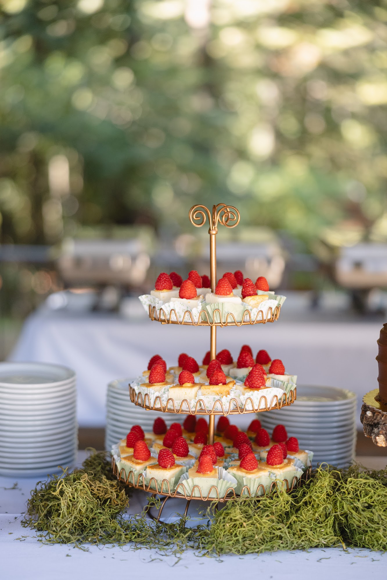 Not Just Cheesecakes Menu