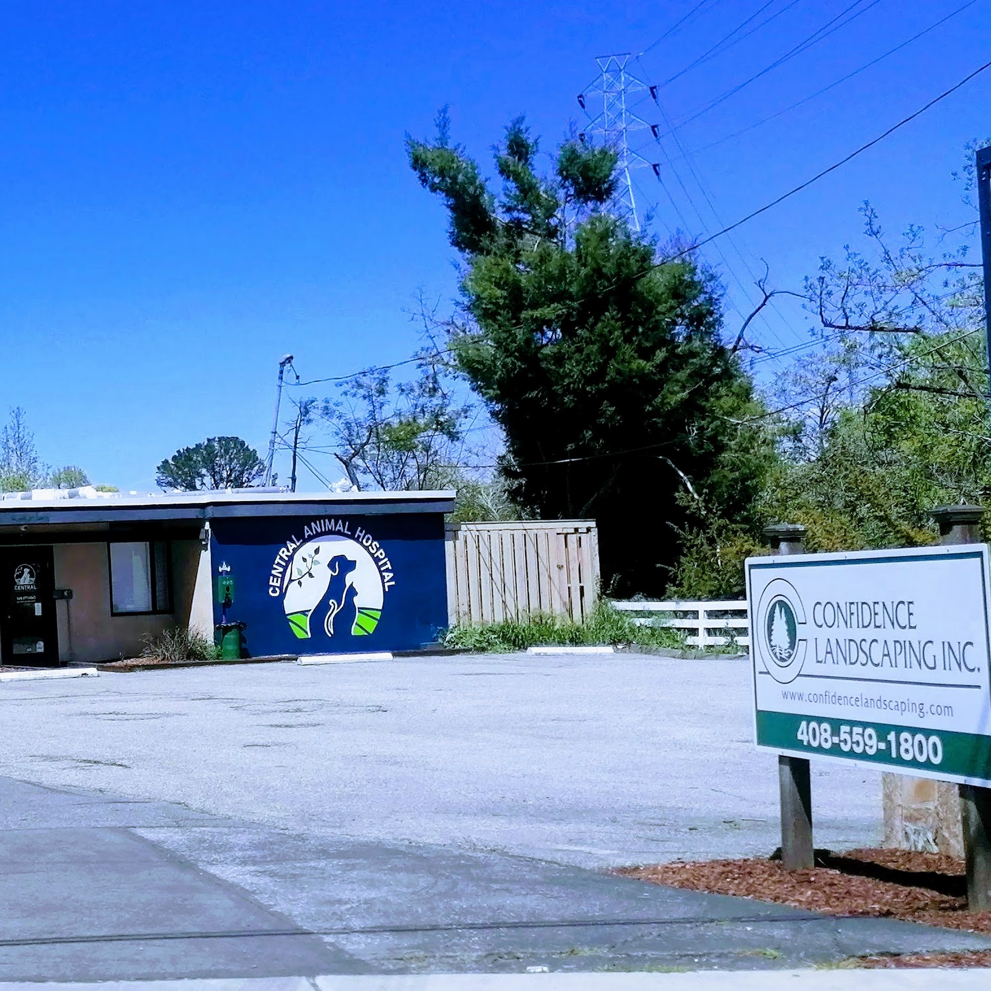 Central Animal Hospital Campbell