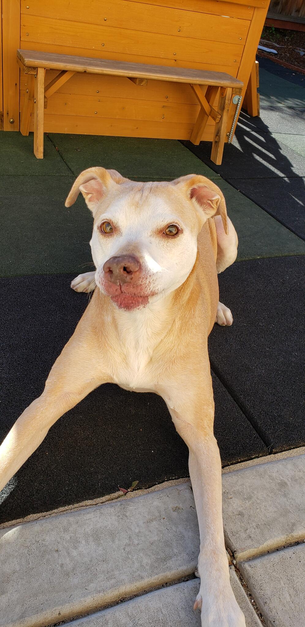 Photo credit: nextdoor