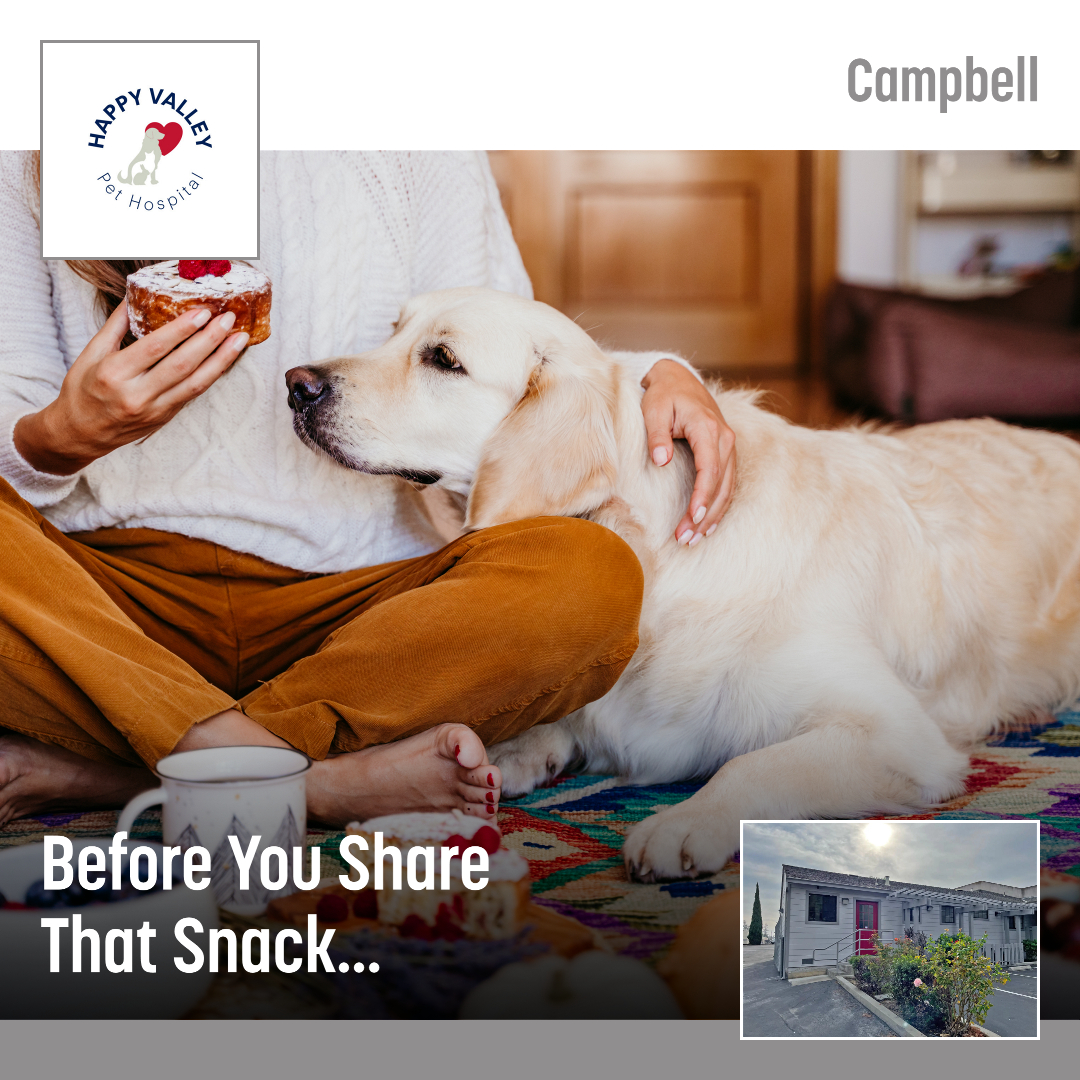 Happy Valley Pet Hospital Campbell